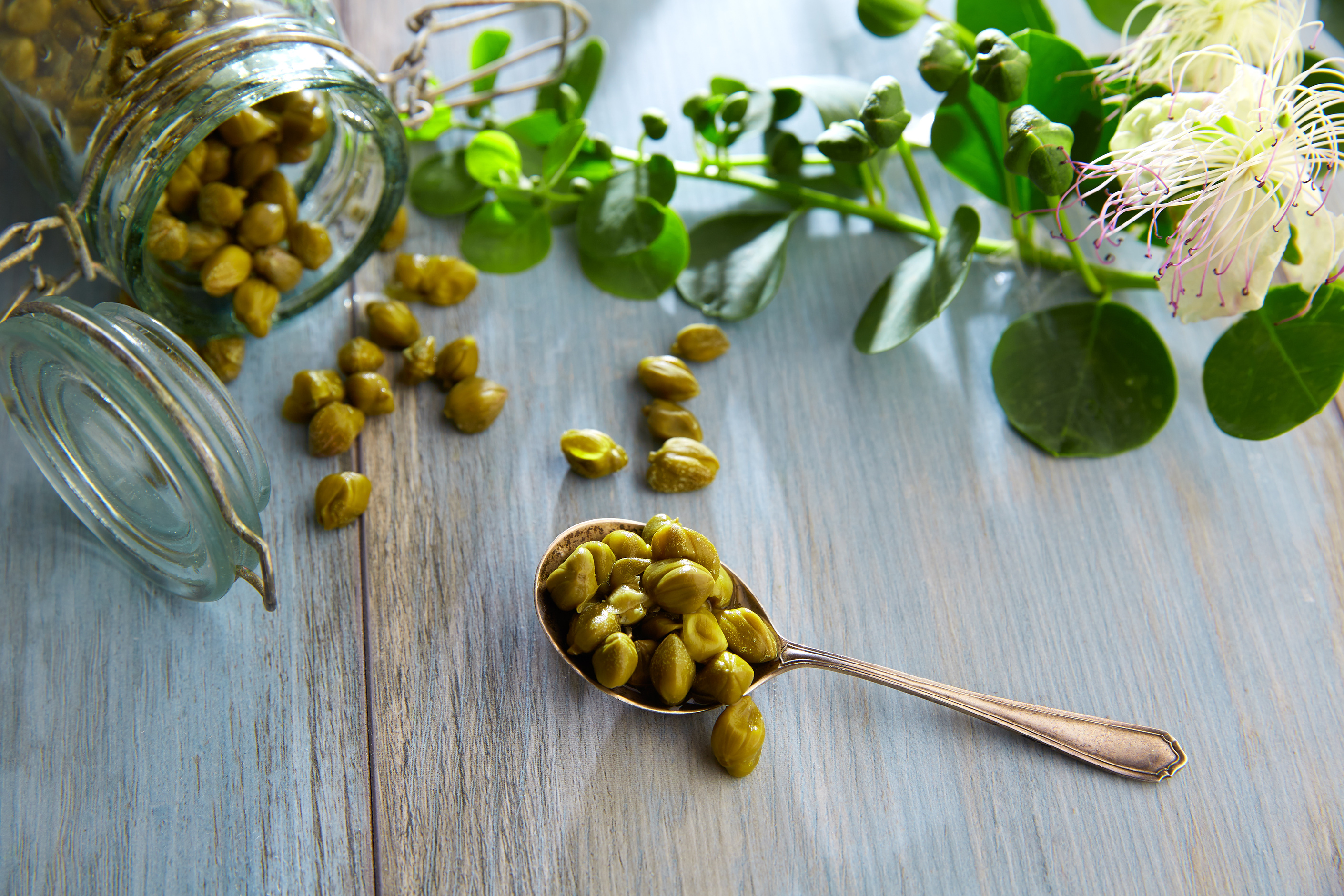 Capers Pickled with Caper Plant Flower